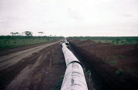 Original Digital object not accessible