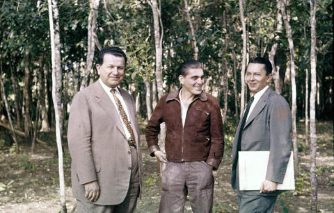 Original Digital object not accessible