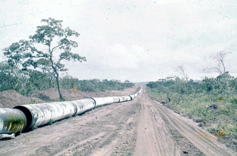 Original Digital object not accessible