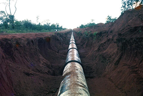 Original Digital object not accessible