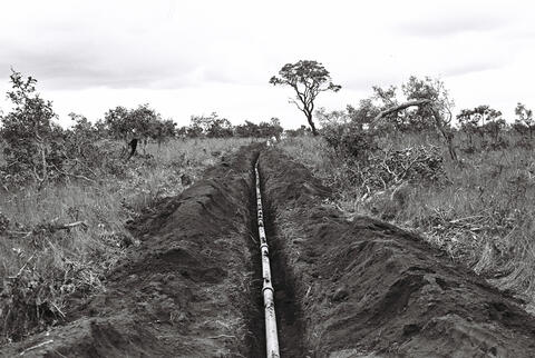 Original Digital object not accessible