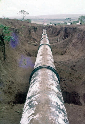 Original Digital object not accessible