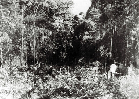 Original Digital object not accessible