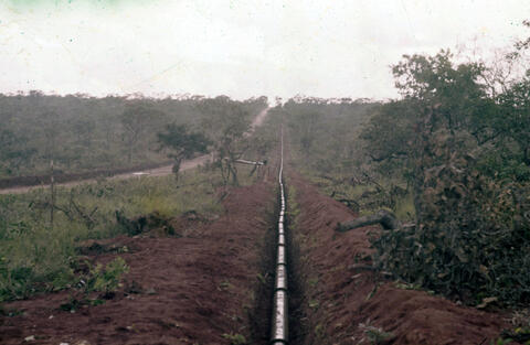 Original Digital object not accessible