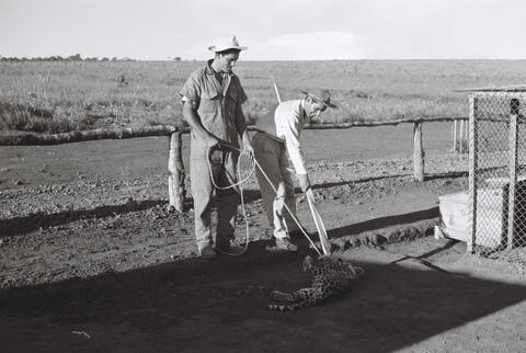 Original Digital object not accessible