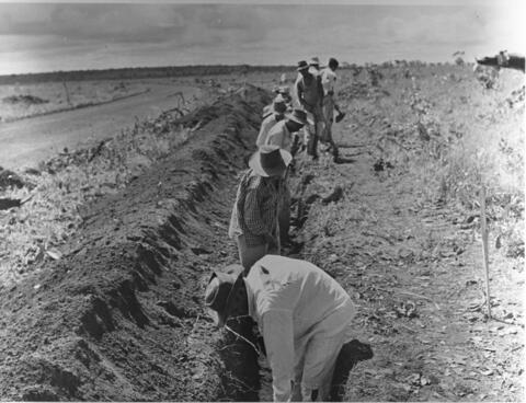 Original Digital object not accessible