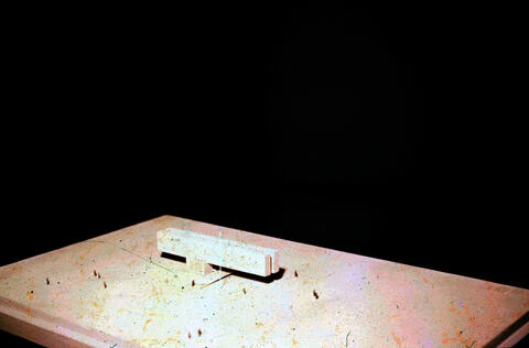 Original Digital object not accessible