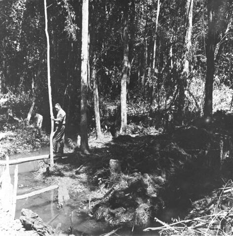 Original Digital object not accessible